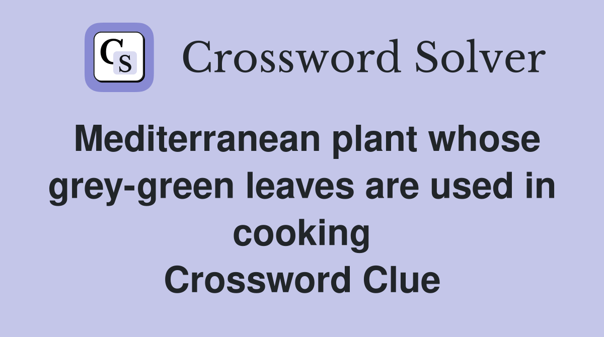 Mediterranean plant whose greygreen leaves are used in cooking